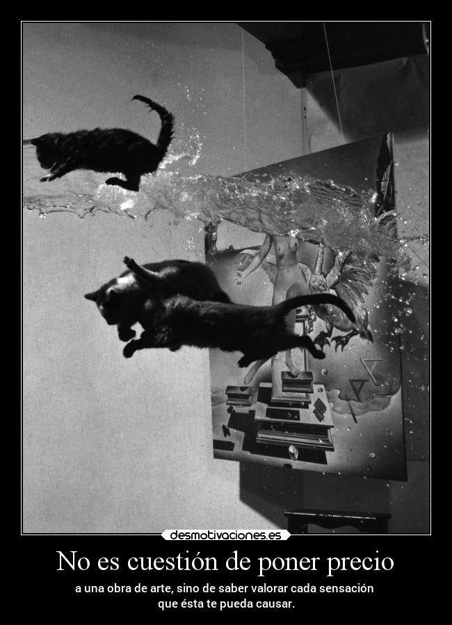 No es cuestión de poner precio - a una obra de arte, sino de saber valorar cada sensación
que ésta te pueda causar.