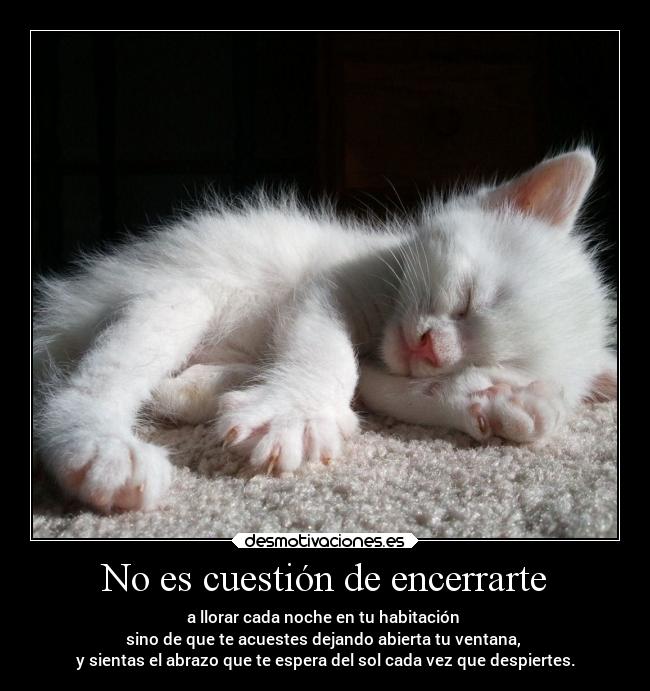 No es cuestión de encerrarte - a llorar cada noche en tu habitación
sino de que te acuestes dejando abierta tu ventana,
y sientas el abrazo que te espera del sol cada vez que despiertes.