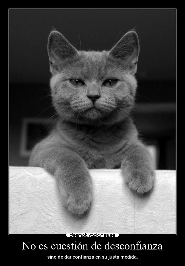 No es cuestión de desconfianza - sino de dar confianza en su justa medida.