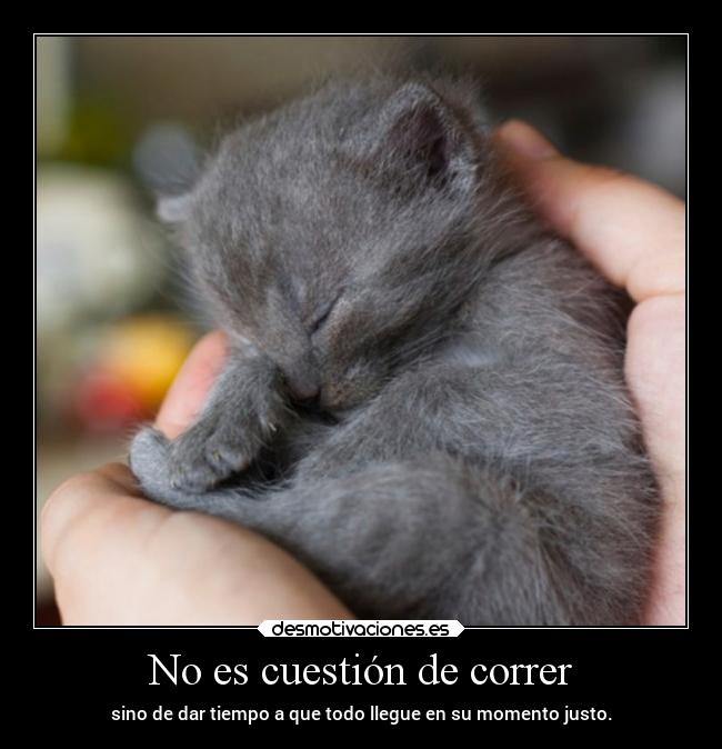 No es cuestión de correr - sino de dar tiempo a que todo llegue en su momento justo.