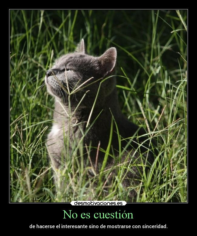 No es cuestión - de hacerse el interesante sino de mostrarse con sinceridad.