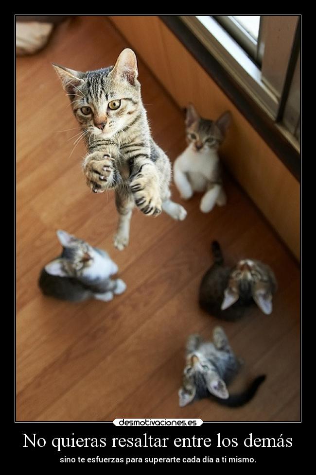 No quieras resaltar entre los demás - sino te esfuerzas para superarte cada día a ti mismo.
