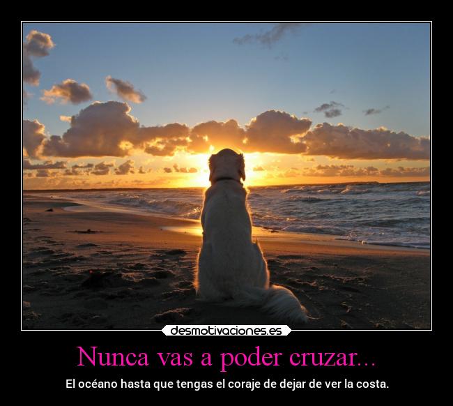 Nunca vas a poder cruzar... - 