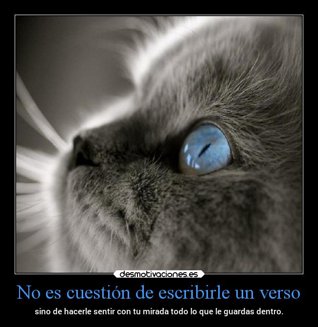 No es cuestión de escribirle un verso - sino de hacerle sentir con tu mirada todo lo que le guardas dentro.