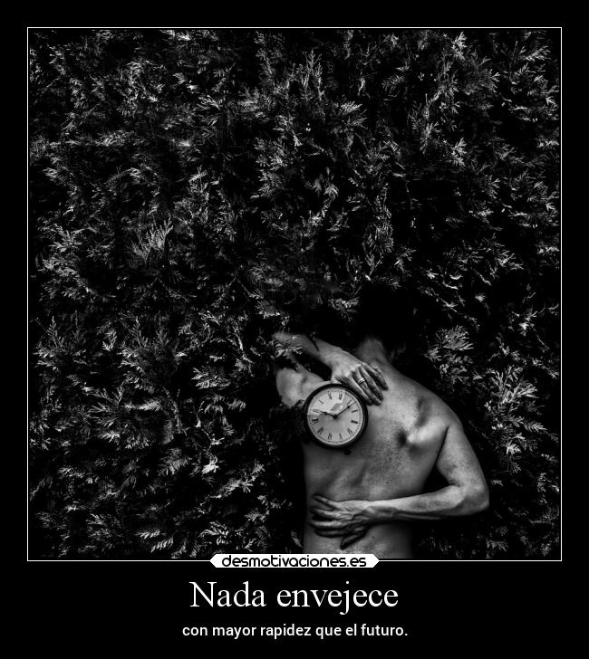 carteles muerte amm ignacio ramonet catosan desmotivaciones