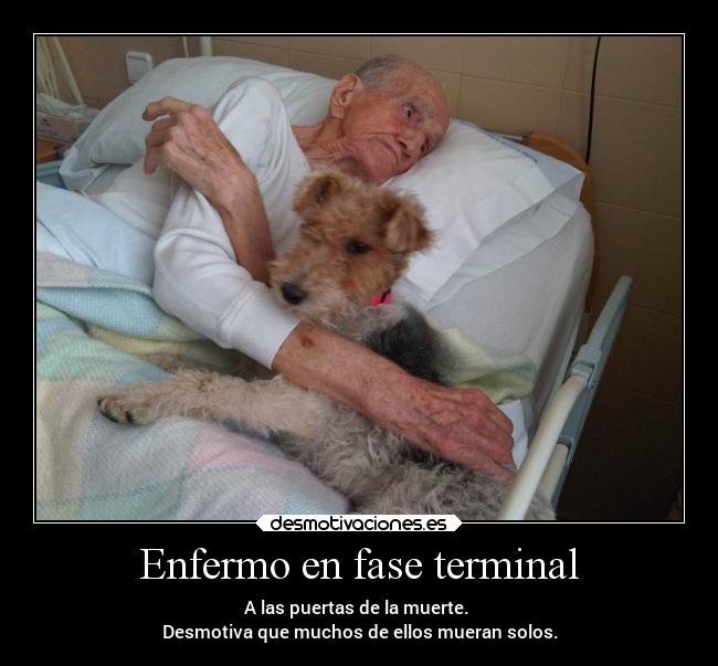 carteles muerte enfermedades desmotivaciones