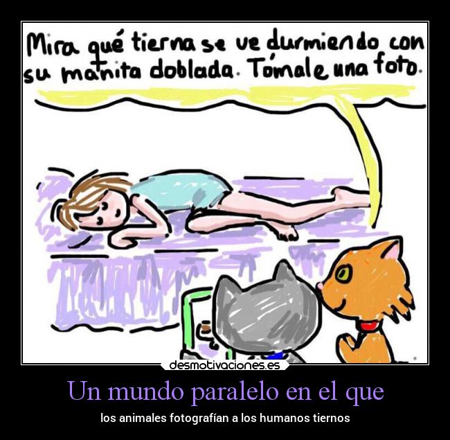 Un mundo paralelo en el que - los animales fotografían a los humanos tiernos