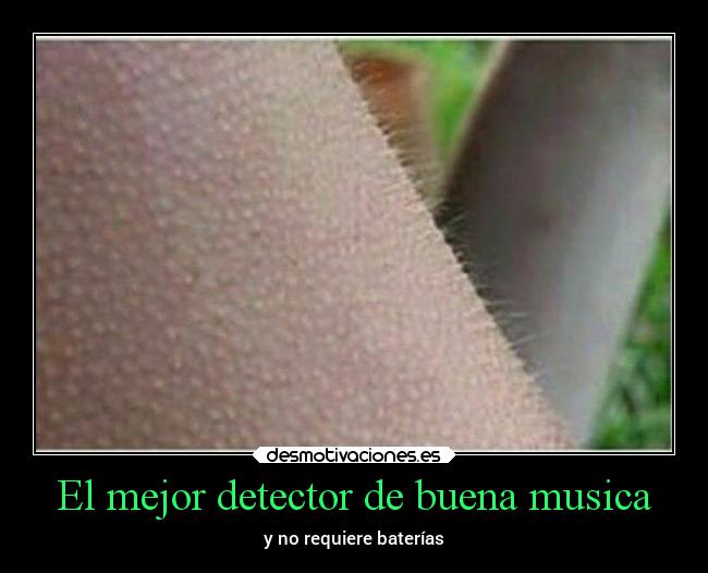 El mejor detector de buena musica -