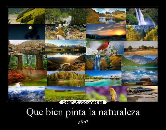 Que bien pinta la naturaleza - ¿No?