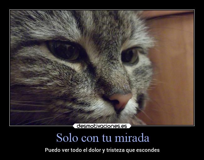 Solo con tu mirada - Puedo ver todo el dolor y tristeza que escondes