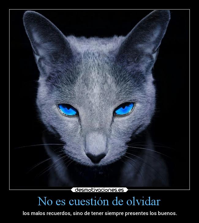 No es cuestión de olvidar - los malos recuerdos, sino de tener siempre presentes los buenos.