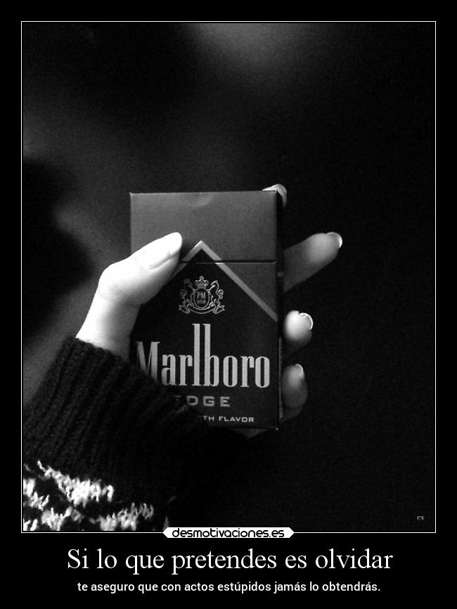 carteles olvidar vida eternitaperduta newera desmotivaciones