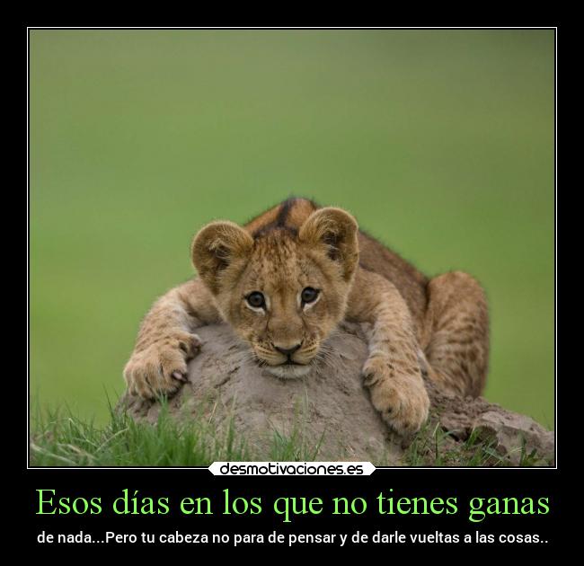 Esos días en los que no tienes ganas - de nada...Pero tu cabeza no para de pensar y de darle vueltas a las cosas..