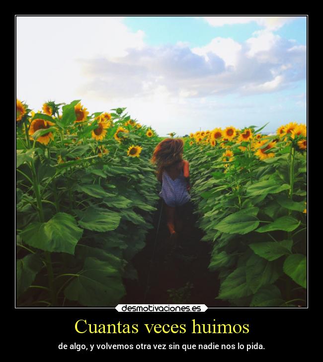 Cuantas veces huimos -