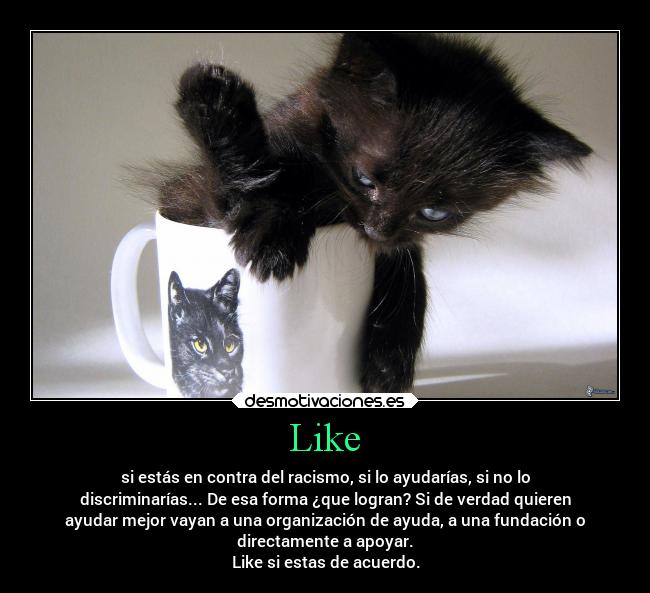 Like - si estás en contra del racismo, si lo ayudarías, si no lo
discriminarías... De esa forma ¿que logran? Si de verdad quieren
ayudar mejor vayan a una organización de ayuda, a una fundación o
directamente a apoyar.
Like si estas de acuerdo.