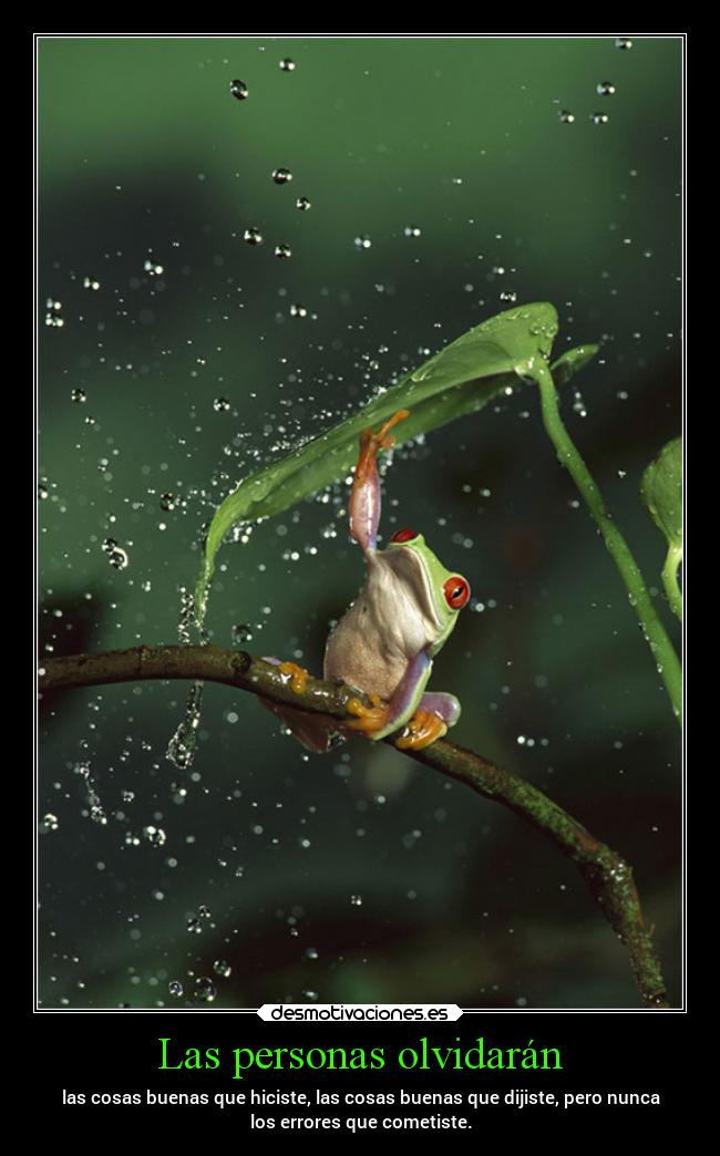Las personas olvidarán - las cosas buenas que hiciste, las cosas buenas que dijiste, pero nunca
los errores que cometiste.