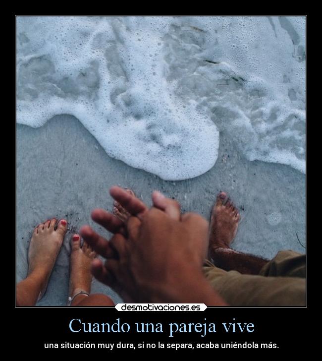 carteles pensamientos sentimientos desamor desmotivaciones amor desmotivaciones