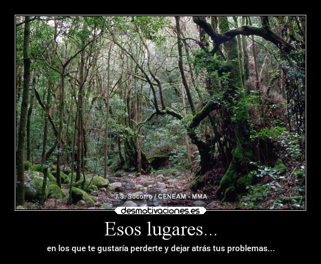 Esos lugares... - en los que te gustaría perderte y dejar atrás tus problemas...