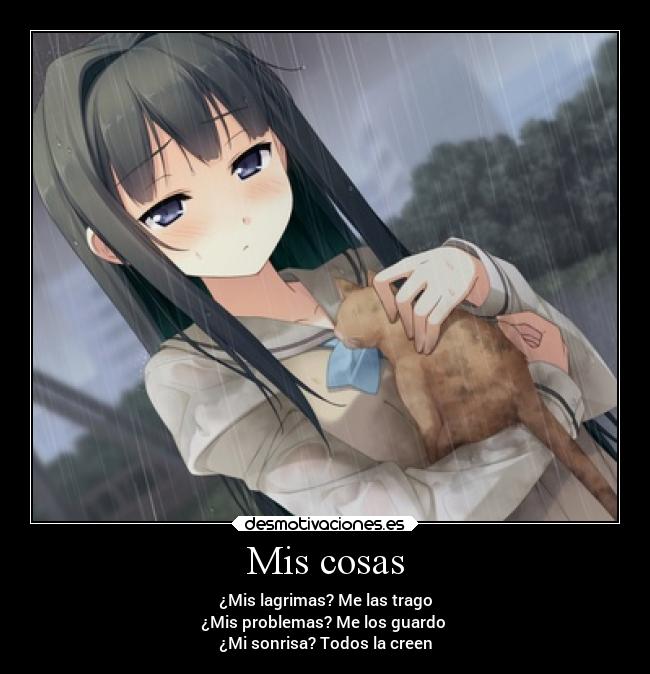 Mis cosas -