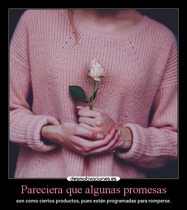 carteles promesas promesas productos romper desmotivaciones