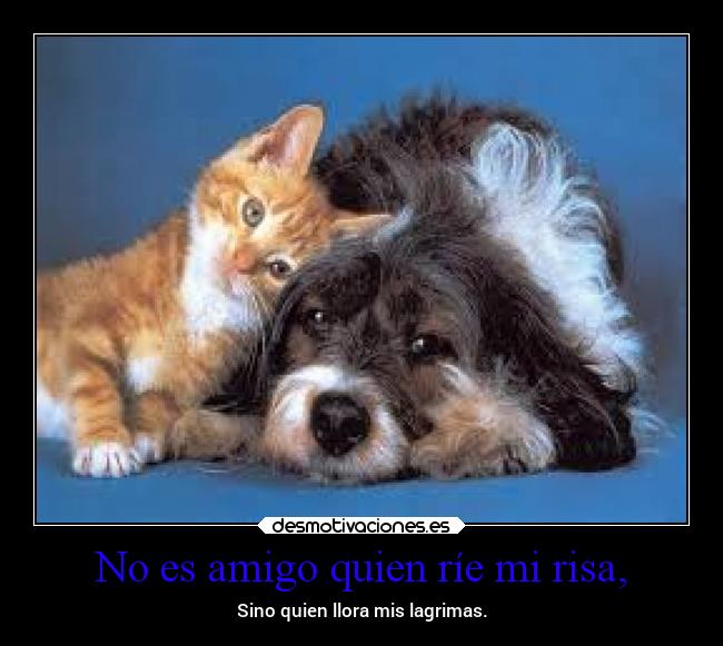 No es amigo quien ríe mi risa, -