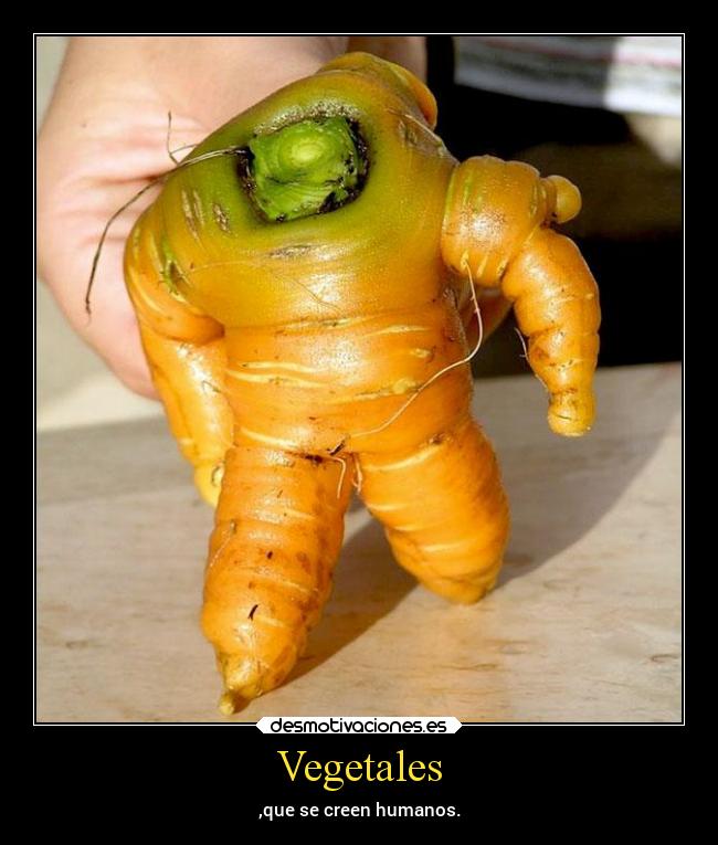 Vegetales - ,que se creen humanos.