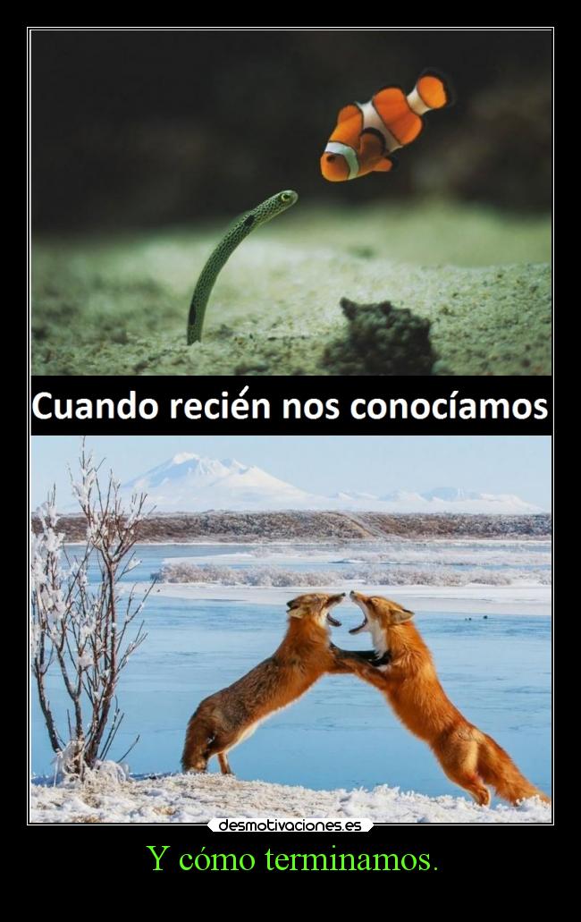 Y cómo terminamos. -