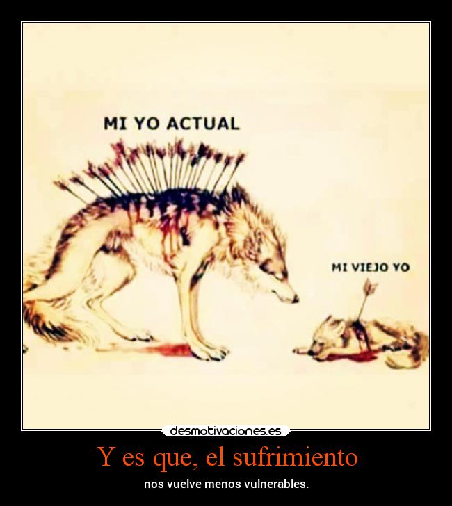 Y es que, el sufrimiento - nos vuelve menos vulnerables.