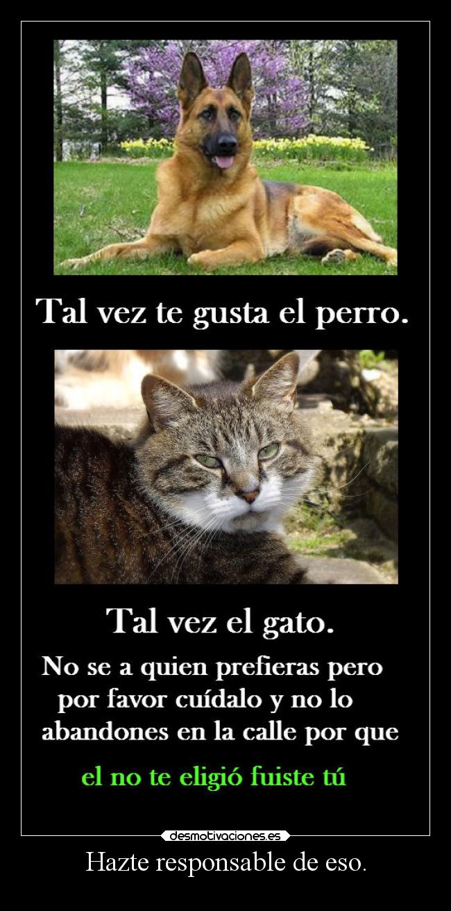 Hazte responsable de eso. - 