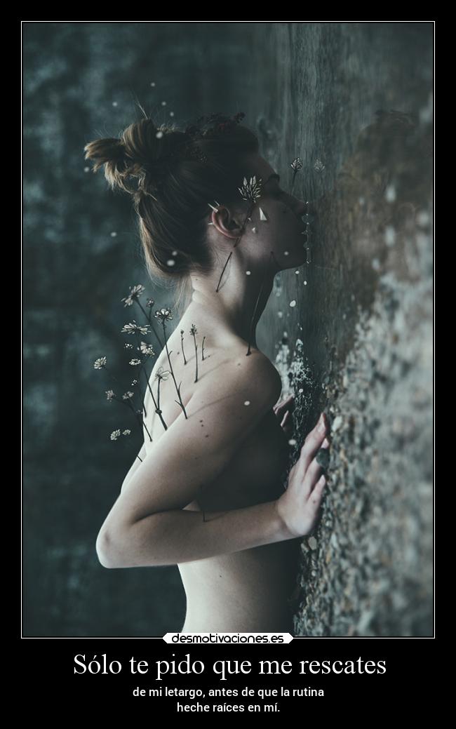 Sólo te pido que me rescates - de mi letargo, antes de que la rutina
heche raíces en mí.