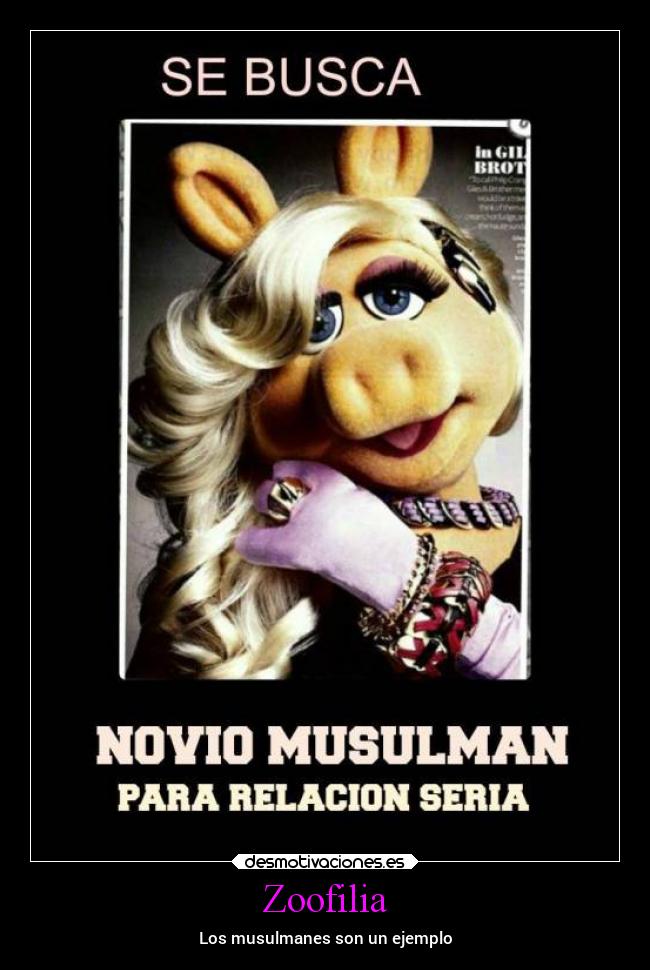 carteles sexo islam zoofilia desmotivaciones