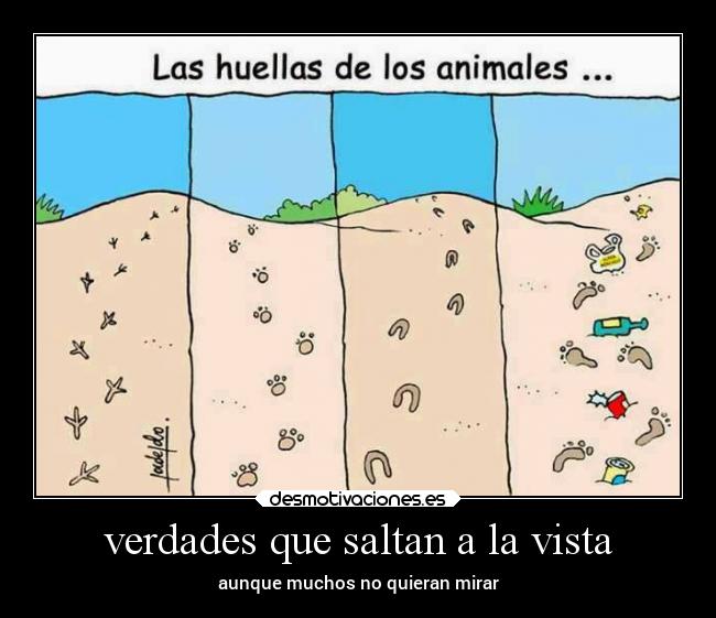 verdades que saltan a la vista -