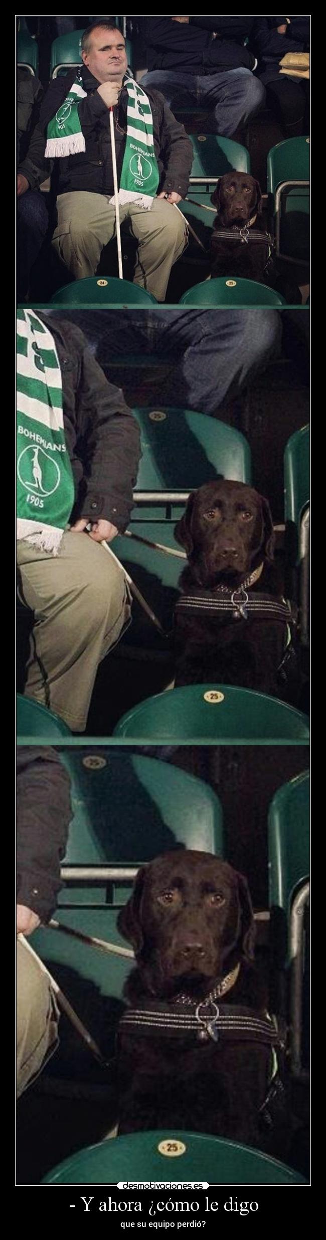 - Y ahora ¿cómo le digo - que su equipo perdió?