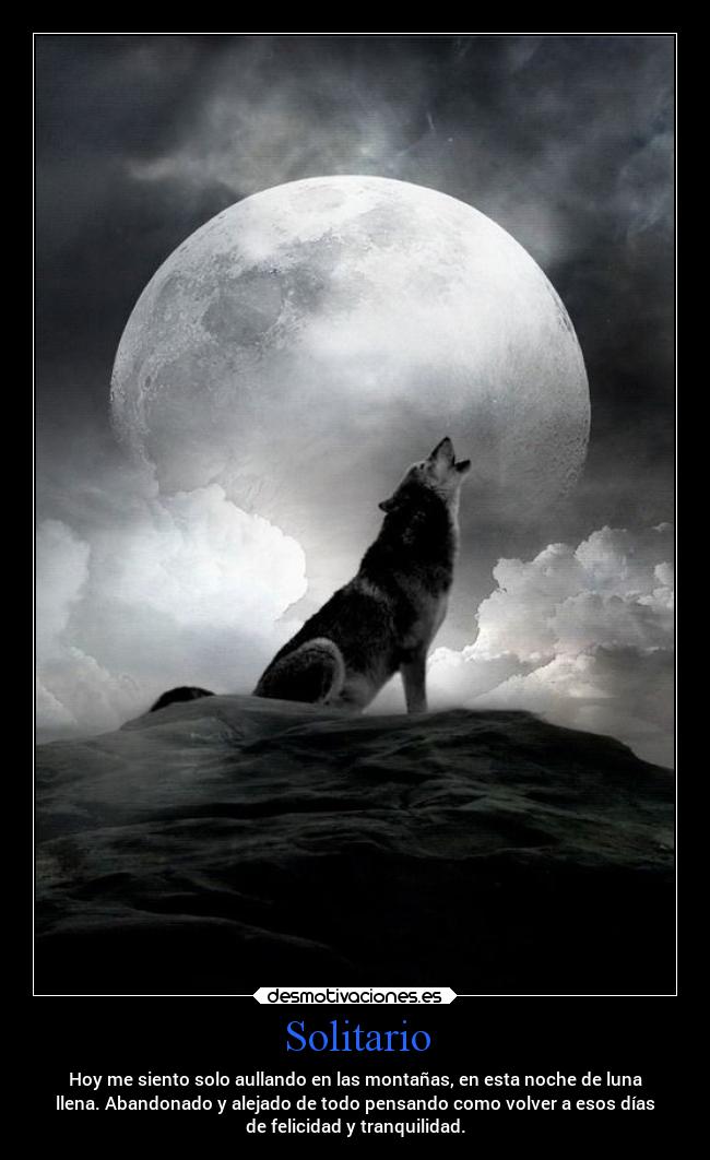 Solitario - Hoy me siento solo aullando en las montañas, en esta noche de luna
llena. Abandonado y alejado de todo pensando como volver a esos días
de felicidad y tranquilidad.
