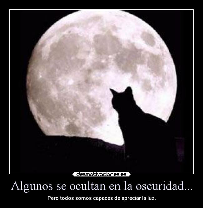 Algunos se ocultan en la oscuridad... -