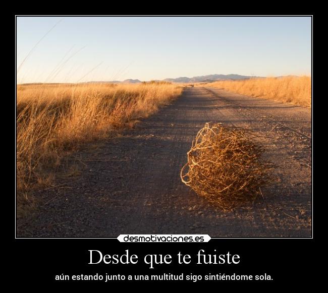 Desde que te fuiste - aún estando junto a una multitud sigo sintiéndome sola.