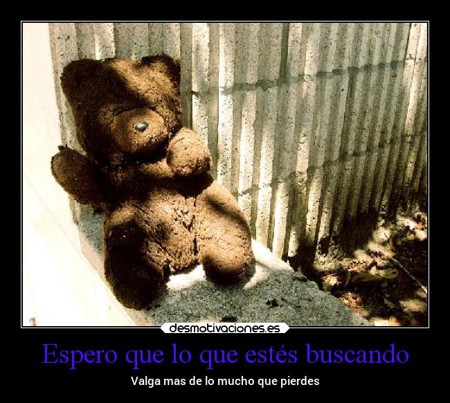 Espero que lo que estés buscando - Valga mas de lo mucho que pierdes