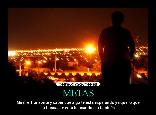 METAS - 
