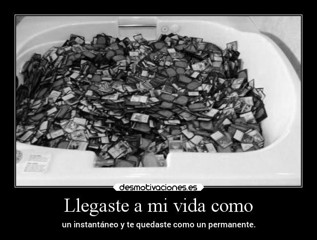 Llegaste a mi vida como - 