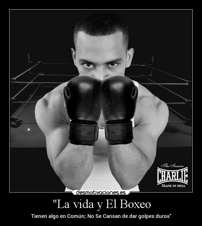 La vida y El Boxeo - Tienen algo en Común; No Se Cansan de dar golpes duros