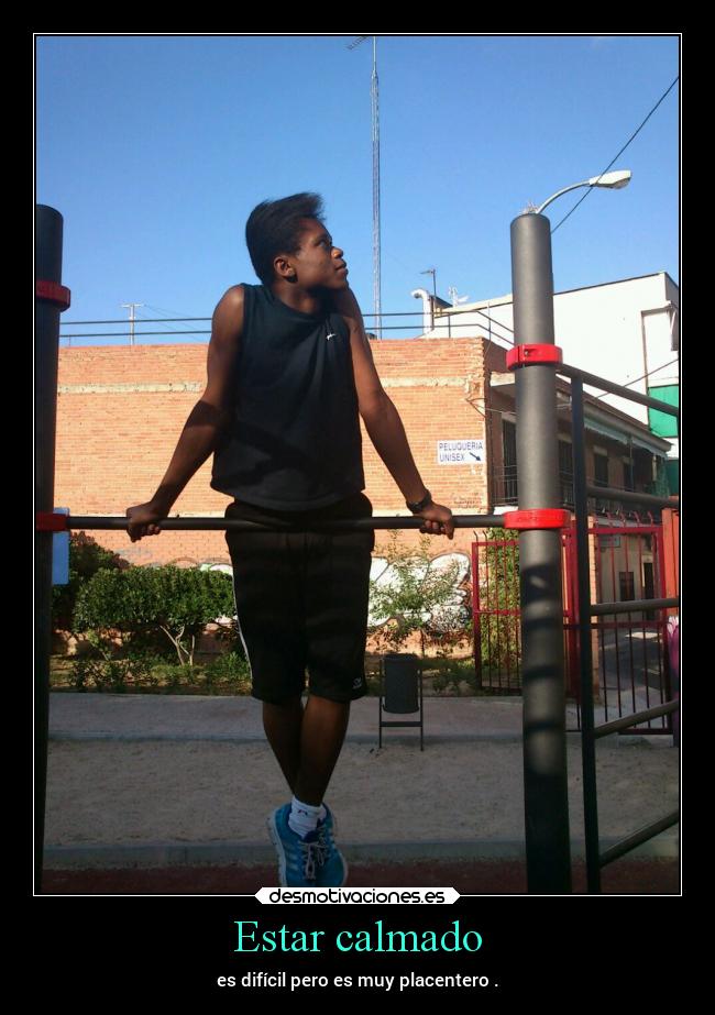 carteles vida calma dingoo manada32 desmotivaciones