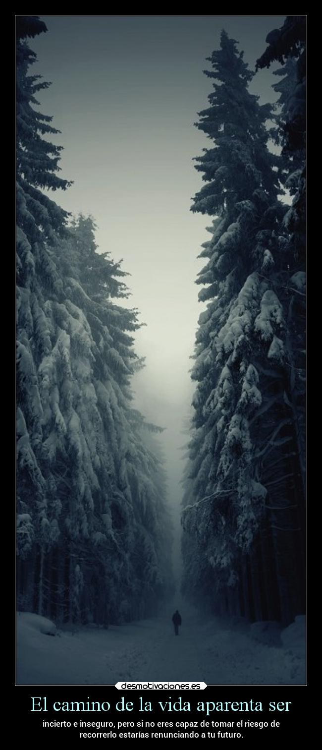 El camino de la vida aparenta ser - incierto e inseguro, pero si no eres capaz de tomar el riesgo de
recorrerlo estarías renunciando a tu futuro.