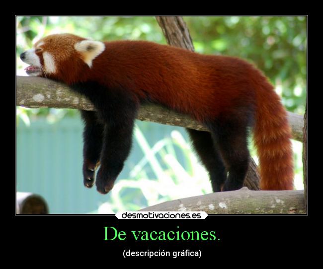 De vacaciones. -