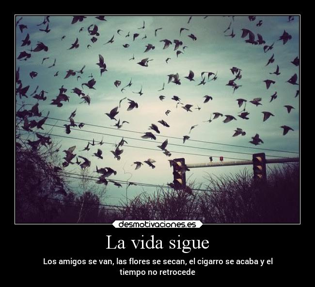 La vida sigue -