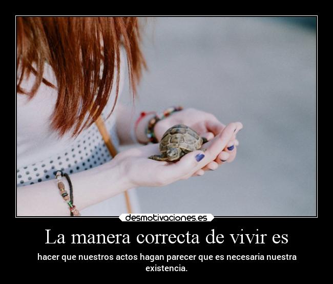 carteles vida desmotivaciones clandesplazado soyunidiotatm projectd manada32 desmotivaciones