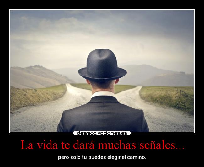 La vida te dará muchas señales... - 