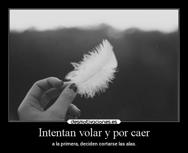 carteles vida enunrincondemimente loquenecesitamosesalgodepanico makemewannadie volar laraiz nacanacaxd desmotivaciones