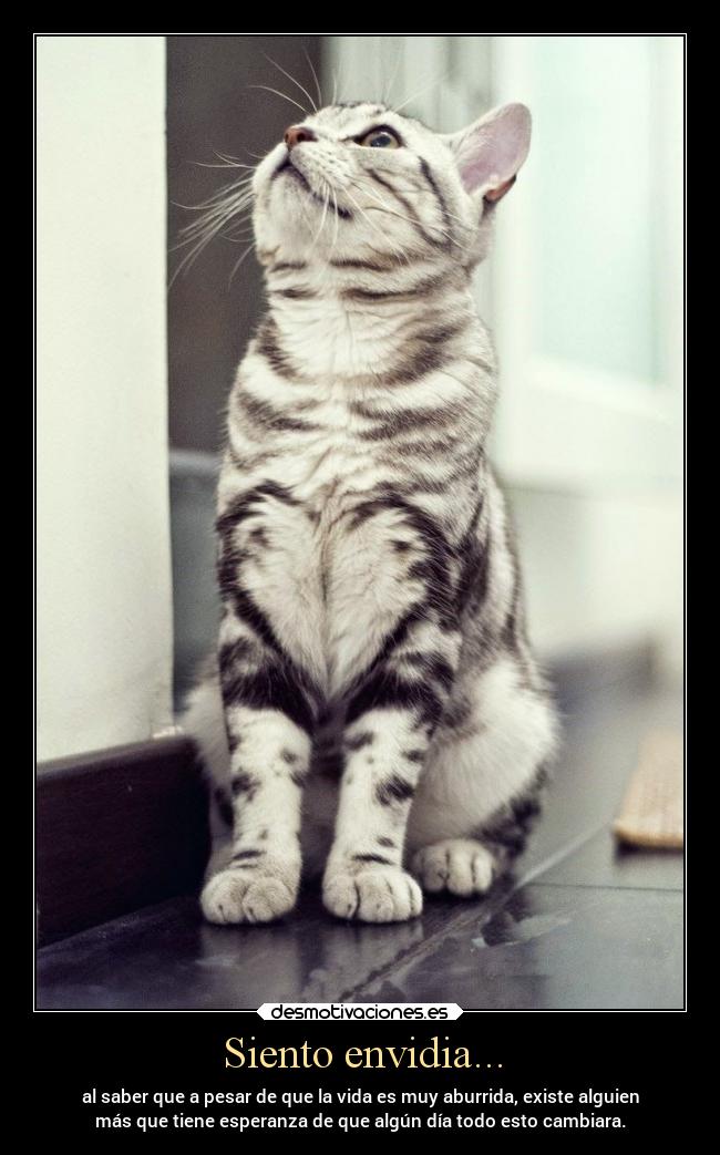 Siento envidia... - al saber que a pesar de que la vida es muy aburrida, existe alguien
más que tiene esperanza de que algún día todo esto cambiara.