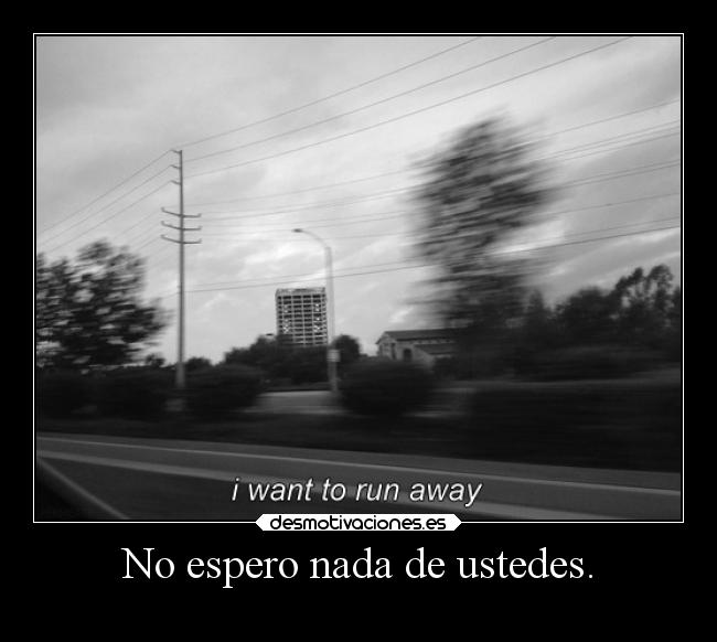 No espero nada de ustedes. -