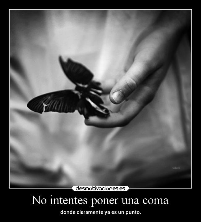 carteles vida eternitaperduta newera desmotivaciones